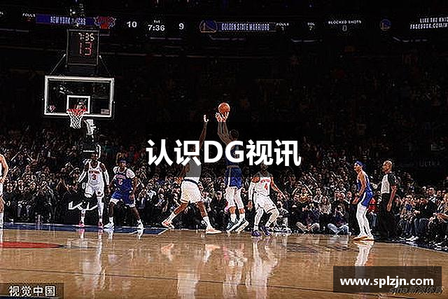 认识DG视讯